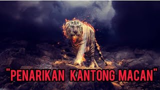 Download lagu PENARIKAN KANTONG MACAN mp3