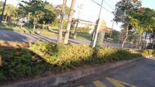 Van Morrison Road Movie - Daring Night