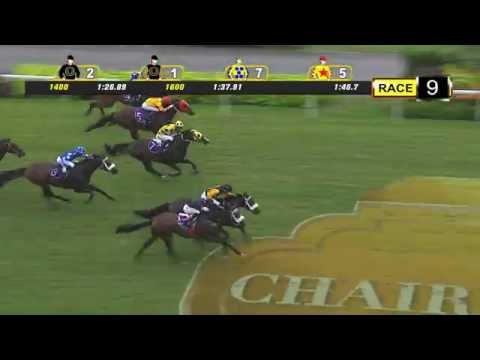 Chairman's Trophy 2016 (Quechua)