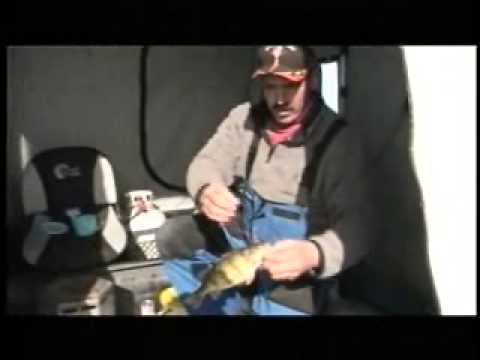 Perch Patrol Guide Jeff Dosch on Midwest Outdoors