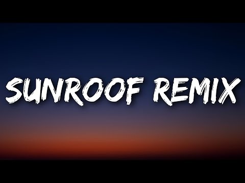 Nicky Youre, dazy - Sunroof Remix (Lyrics) Ft. 24kGoldn