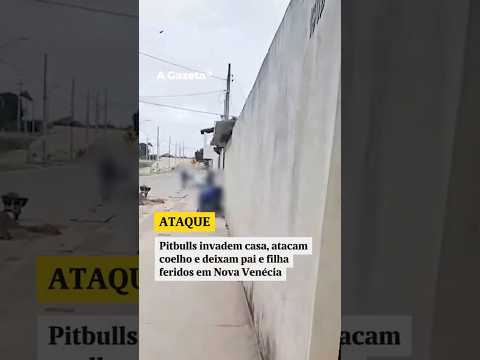 Pitbulls invadem casa, atacam coelho e deixam pai e filha feridos em Nova Venécia  #shorts #noticias