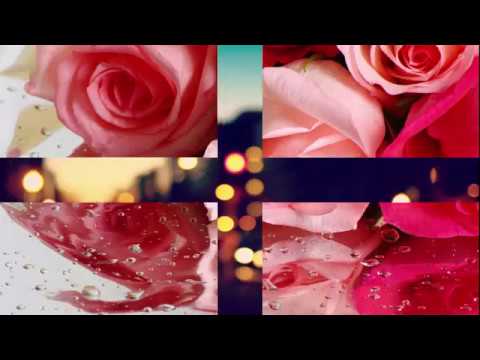 D1N и ShaM – я стану лучшим! текст