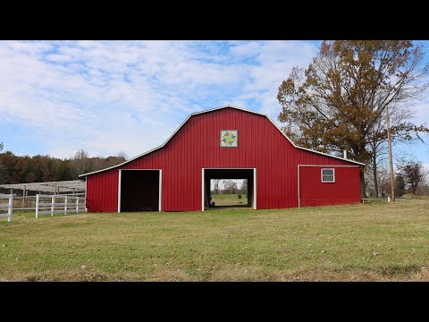 David Haerle - Run And Be Free (Official Music Video)