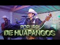 Popurri de Huapangos (Sangoloteadito, Leche Confleis y Papel de baño) -  (ACCESOLIVE) Grupo C4
