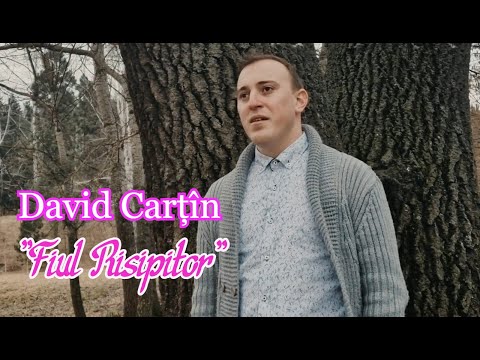 David Carțîn "Fiul Risipitor" [VIDEOCLIP]