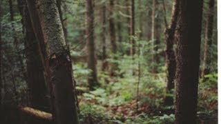 Broken Horse | Freelance Whales: Music Video