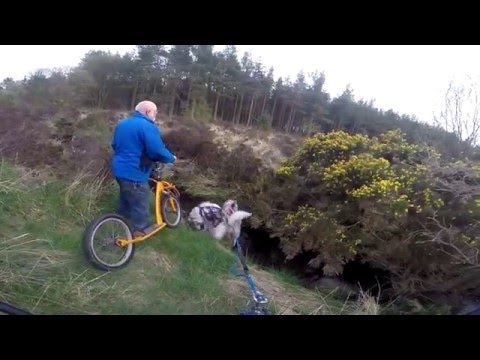 Scootering 07.05.2016 Montreathmont Moor, Scotland