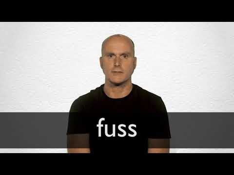Fuss Definition And Meaning Collins English Dictionary