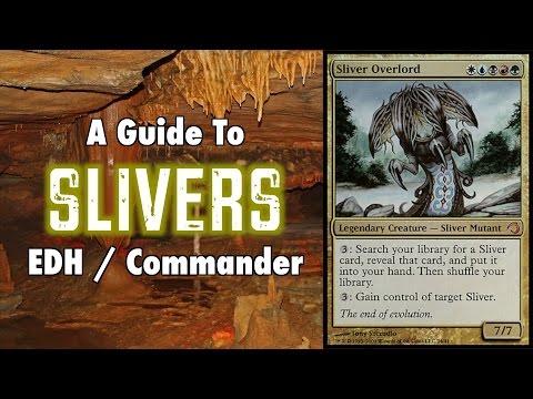MTG - A Study In Slivers - A Guide To EDH / Commander Sliver Decks in Magic: The Gathering