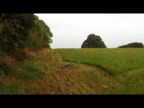 Parson russell terrier hunting training – bringing hare