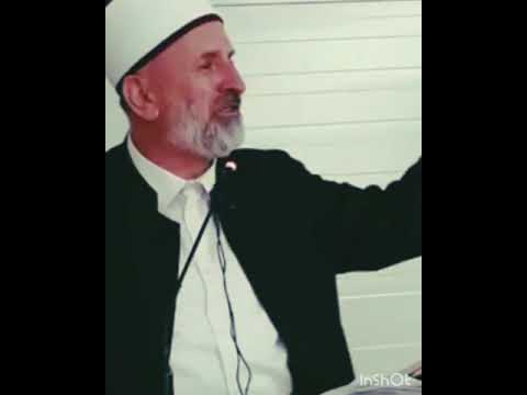 Mendja e njeriut mban ne mend70 milajard foto