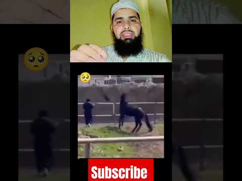 Janwar ki samajhdari #janwar #samajhdari #samajhdar #reels #virals #funny #adilsayyad1188 #dupatta