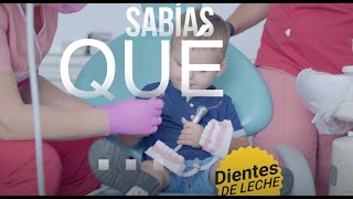 Sabías qué - Dientes de leche y radiografías