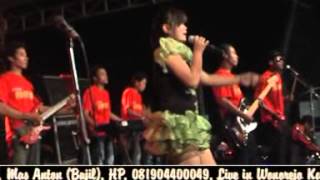 Cari Berkah Cabe ) - NEW PUTRA PANTURA