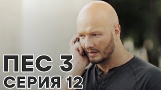 Сериал ПЕС - все серии - 3 сезон - 12 серия - смотреть онлайн