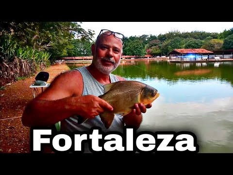 Pesqueiro fortaleza show de peixes