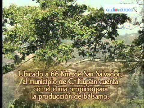 Chiltiupán. Bálsamo, oro negro de El Salvador (2006)