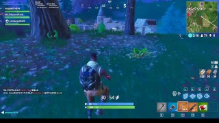 フォートナイト