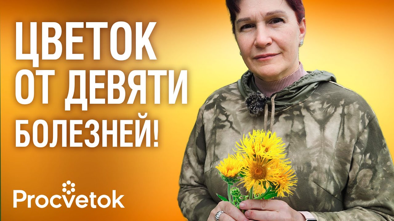 ПЬЮ ДЕВЯСИЛ И ОЖИВАЮ! Не хуже дорогих лекарств помогает похудеть, спасает от кашля и склероза