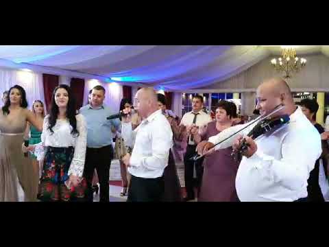 Formatie nunta Mioveni - MODERN - tel : 0741068162 / 0766751805