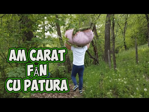 🏡 La tara la Pietrari. Caram FÂN cu patura in cap si il urcam in fanar ❗❗❗