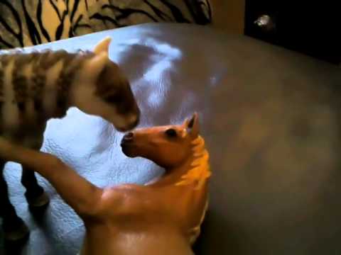 Schleich music video love burning alive by Lena fe