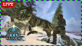 This is the Last Place to Look...