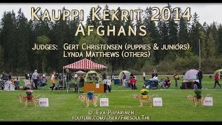 preview picture of video 'Kauppi Kekrit 2014 •  Afgaanit'