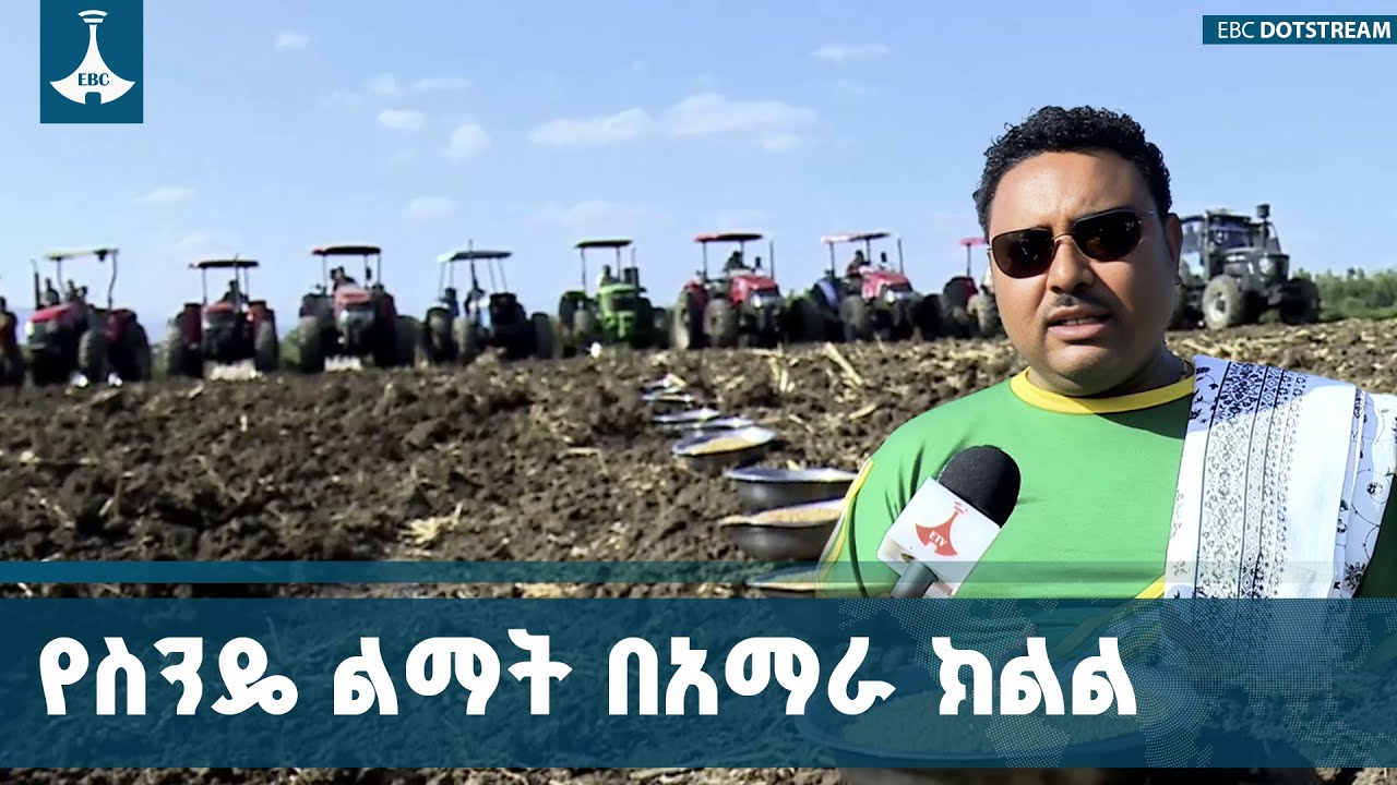 በአማራ ክልል እስካሁን ከ260 ሺህ  ሄክታር መሬት በላይ በበጋ መስኖ ስንዴ ዘር መሸፈኑ ተ