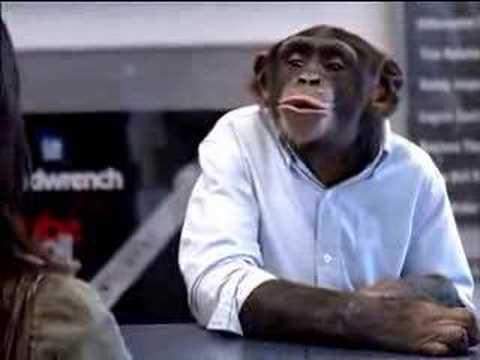trunk monkey 10