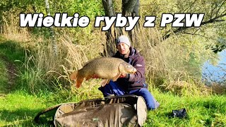 Wielkie Ryby z  PZW! Karpie, Amur i Leszcze na Feeder w Jesiennej Mgle !