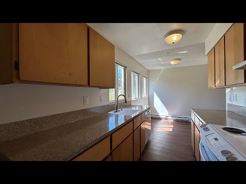 maple - Video 2 of 2