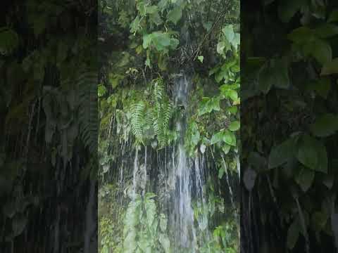 usted que haría? el peñón Cundinamarca.