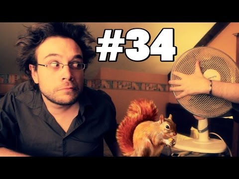 WHAT THE CUT #34 LIQUID MAYOR AND PONEY