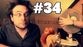 Cliquez pour afficher la vidéo