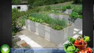 Home Vegetable Gardening Tips and Ideas For Beginners
