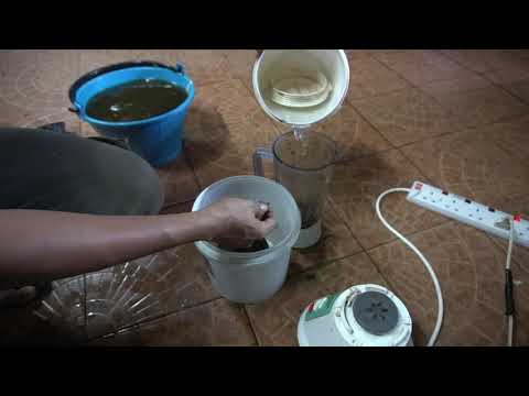 Vermiculture : Earthworm Feeding Blending Method