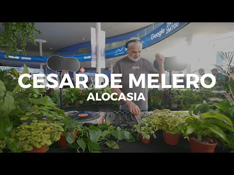 Deep classics house songs with Cesar de Melero at ISE  2025 x Ecler DJ - Alocasia TV Barcelona