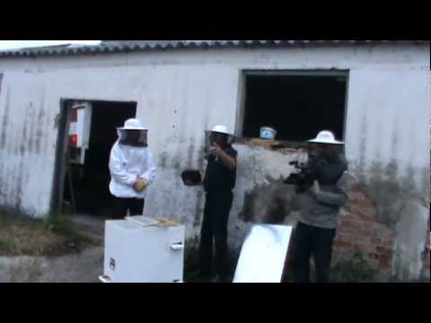 1. Apicultura practica - Bio Stup pe vatra cumparat de un entuziat + sfaturi de inceput 1/3