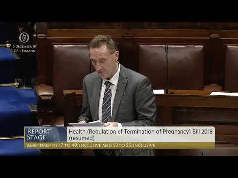 Deputy Peter Fitzpatrick - Government Business - 05.12.2018