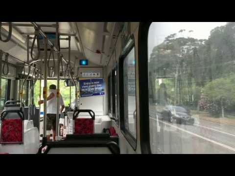 STA Sydney Buses(Port Botany)Mercedes-Benz O500LE CNG/CC "CB60 Evo II" 1806 ST