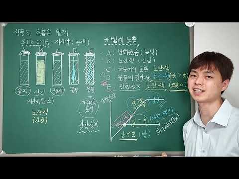 재능 스스로 과학 K22-04. 식물도 호흡을 할까? (K325b - K326a)