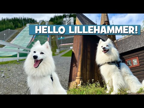 A FLUFFY day in LILLEHAMMER, Norway – Visiting the Olympic Park and Maihaugen
