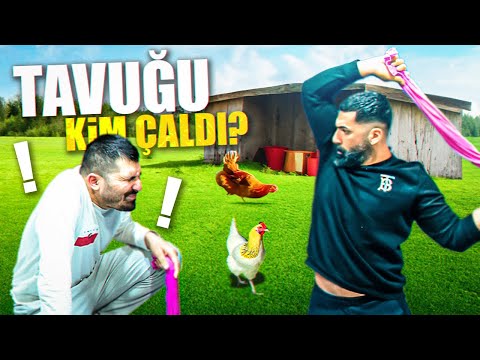 TAVUĞU KİM ÇALDI? | ÖZLENEN ANADOLU OYUNU