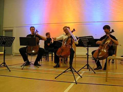 Perttu Kivilaakso ja ystävät: Beautiful