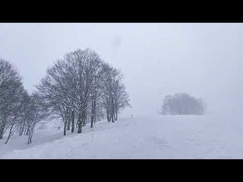 Video: 高鷲スノーパーク！パウダーのコブ斜面っ！！！24日水曜日