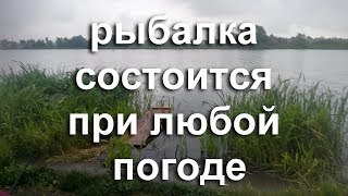 Клюет ли карась в дождь