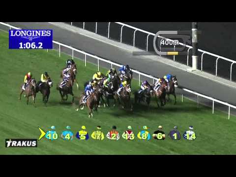 01.02.2014 Meydan (Dubai-UAE) 5.Race Heavy Equipment Division Trophy - Handicap  1.400 m