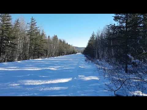 Precision EFI Stage 3 sidewinder vs Stage 3 Thundercat